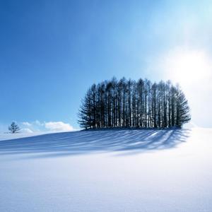 免费看美女裸体🔞🔞蓝莓
