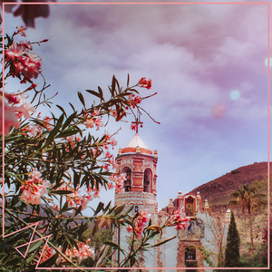 免费看美女裸体🔞🔞蓝莓
