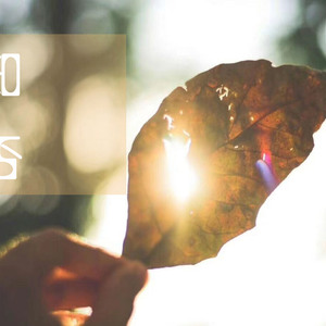 免费看美女裸体🔞🔞蓝莓
